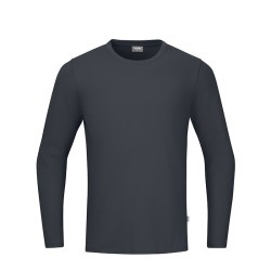 Longsleeve Organic anthrazit